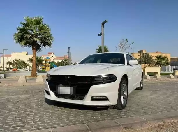 Usado Dodge Charger Alquiler en Riad #20460 - 1  image 