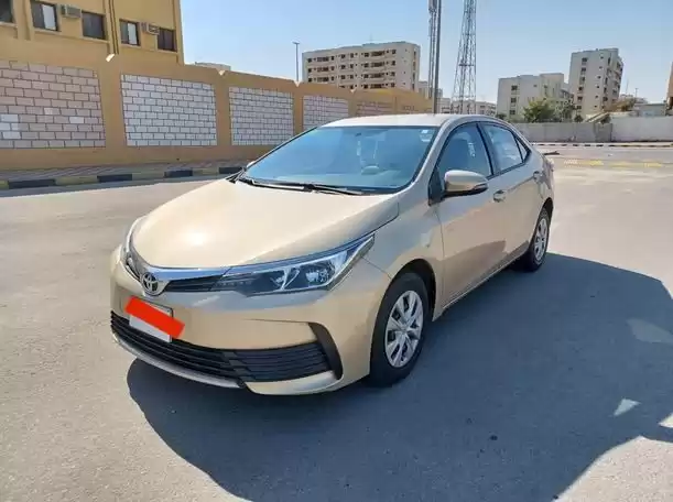 Gebraucht Toyota Corolla Zu vermieten in Riad #20656 - 1  image 