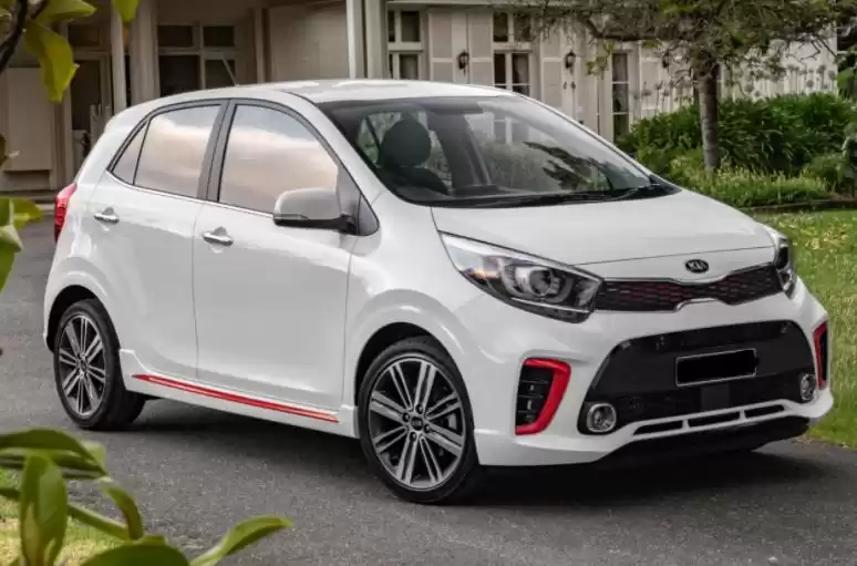 Used Kia Picanto For Rent in Amman #22510 - 1  image 
