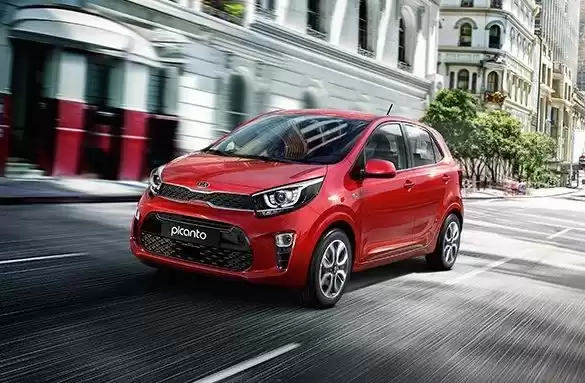 Used Kia Picanto For Rent in Amman #22513 - 1  image 