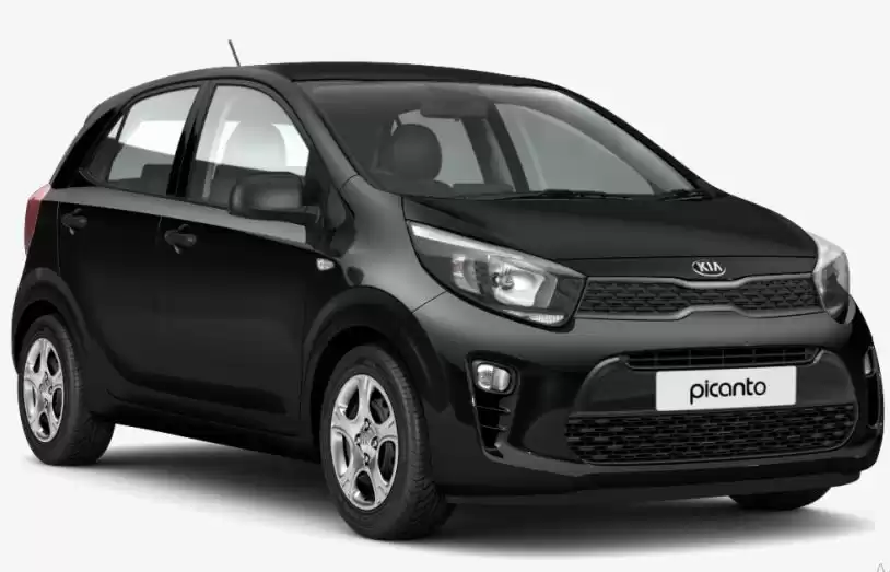 Used Kia Picanto For Rent in Amman #22523 - 1  image 