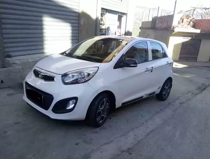 Used Kia Picanto For Rent in Amman #22527 - 1  image 
