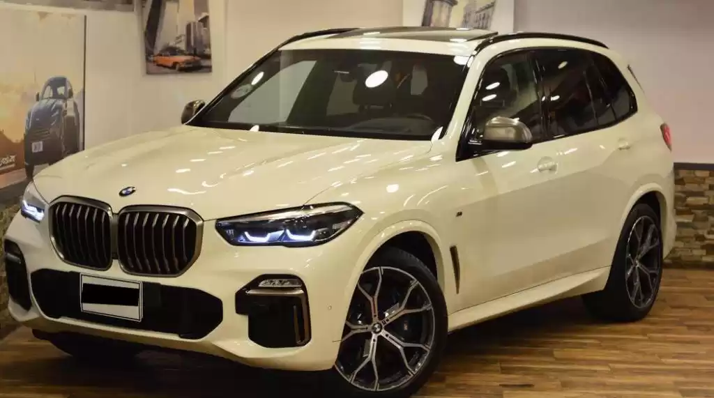 Used BMW X5 For Sale in Al-Khankah , Al-Qalyubia-Governorate #23555 - 1  image 