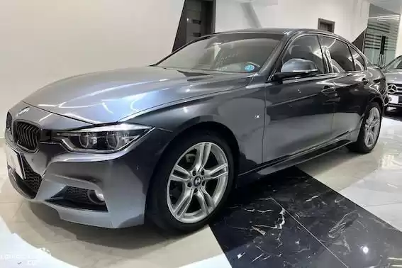 Used BMW 320 For Sale in Hosh-Eissa , El-Beheira-Governorate #24242 - 1  image 