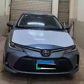 Usado Toyota Corolla Venta en Gobernación-de-El-Cairo #24271 - 1  image 