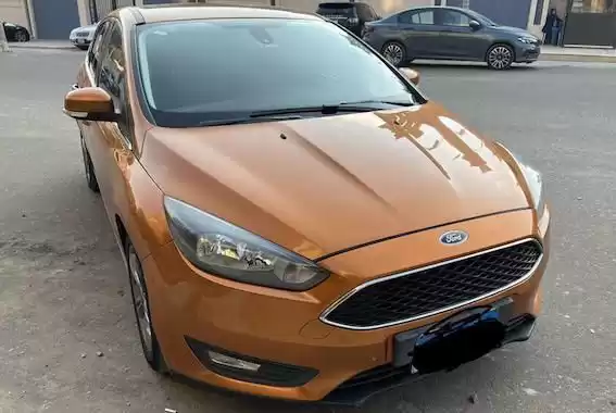 Used Ford Focus For Sale in Cairo-Governorate #24789 - 1  image 