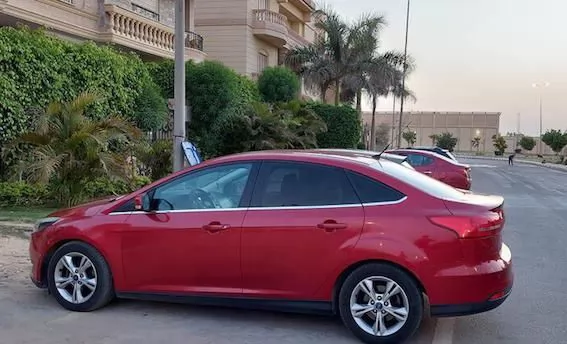 Used Ford Focus For Sale in Cairo-Governorate #24804 - 1  image 