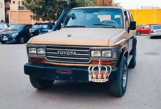 Used Toyota Land Cruiser For Sale in Cairo-Governorate #24909 - 1  image 