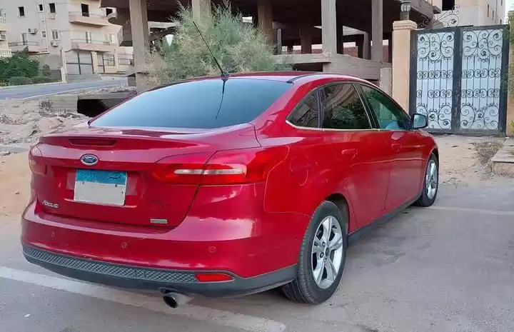 Used Ford Focus For Sale in Cairo , Cairo-Governorate #24921 - 1  image 