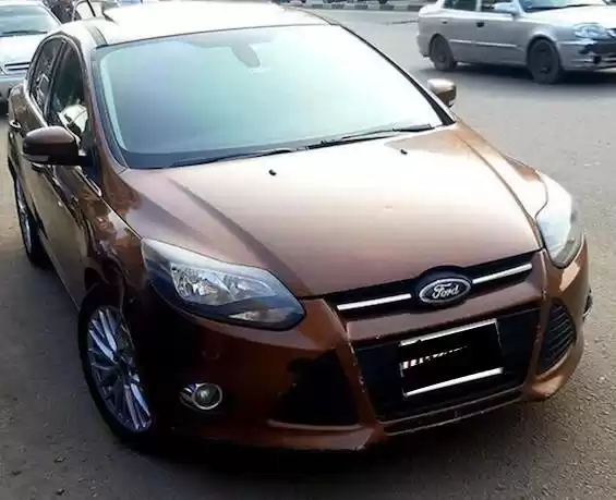 استفاده شده Ford Focus برای اجاره که در قاهره , قاهره-استان #24945 - 1  image 