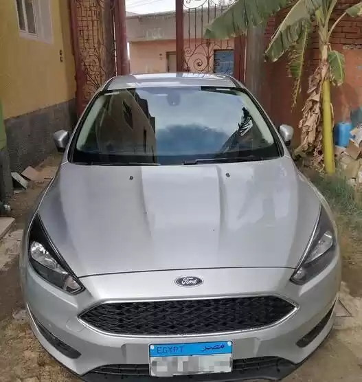 Used Ford Focus For Sale in Cairo-Governorate #25096 - 1  image 