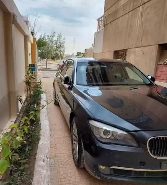 Used BMW 740 LI For Sale in Cairo , Cairo-Governorate #25131 - 1  image 