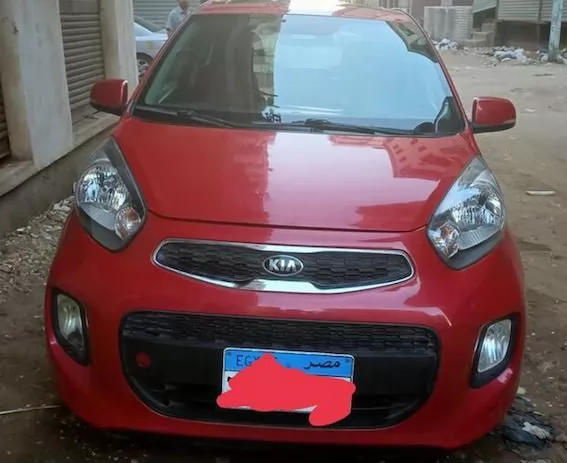 Used Kia Picanto For Sale in Cairo-Governorate #25202 - 1  image 