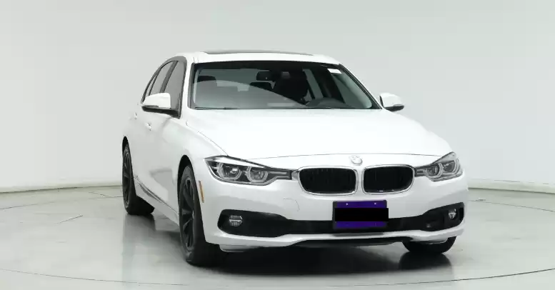 Использовал BMW 320i Продается в Стамбул #26518 - 1  image 