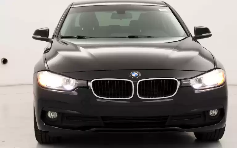 用过的 BMW 320 出售 在 伊斯坦布尔 #26607 - 1  image 