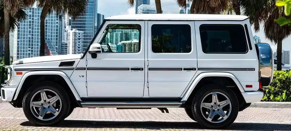 Used Mercedes-Benz G Class For Sale in Istanbul #27004 - 1  image 