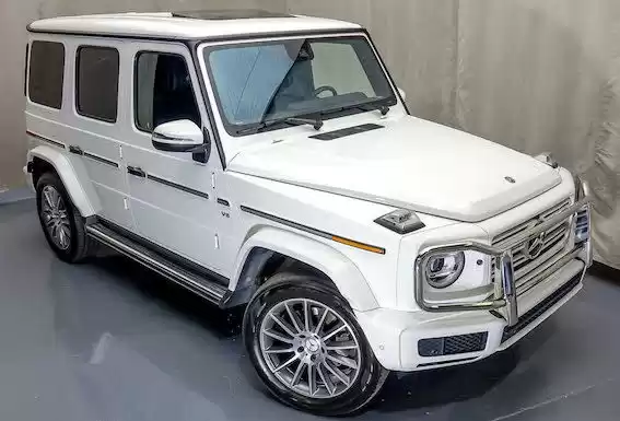 Used Mercedes-Benz G Class For Sale in Fatih , Istanbul #27067 - 1  image 