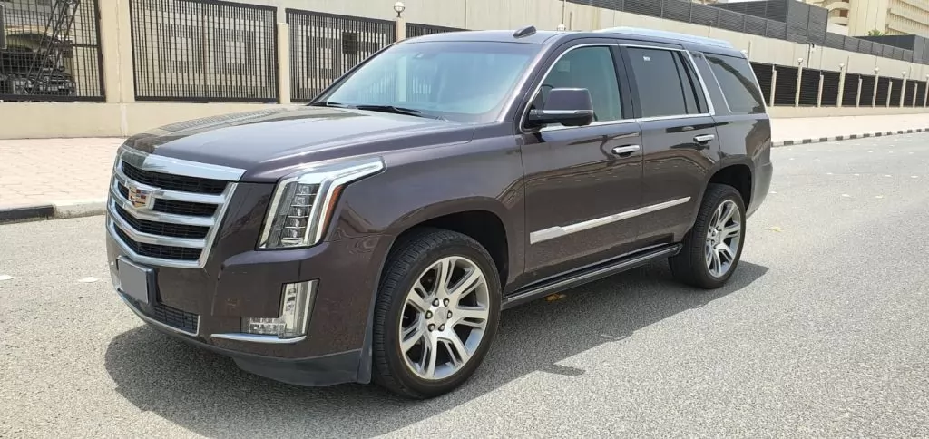 Brand New Cadillac Unspecified For Rent in Baghdad Governorate #29448 - 1  image 