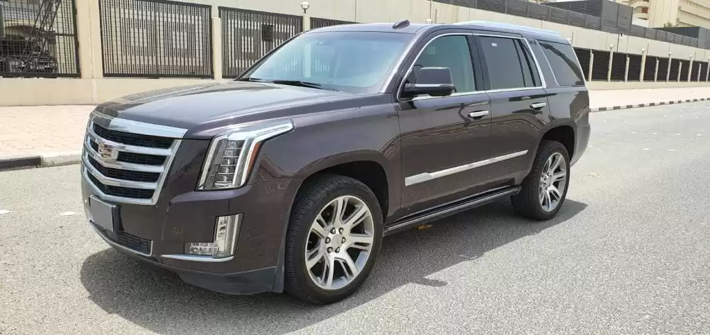 Brand New Cadillac Unspecified For Rent in Baghdad Governorate #29448 - 1  image 