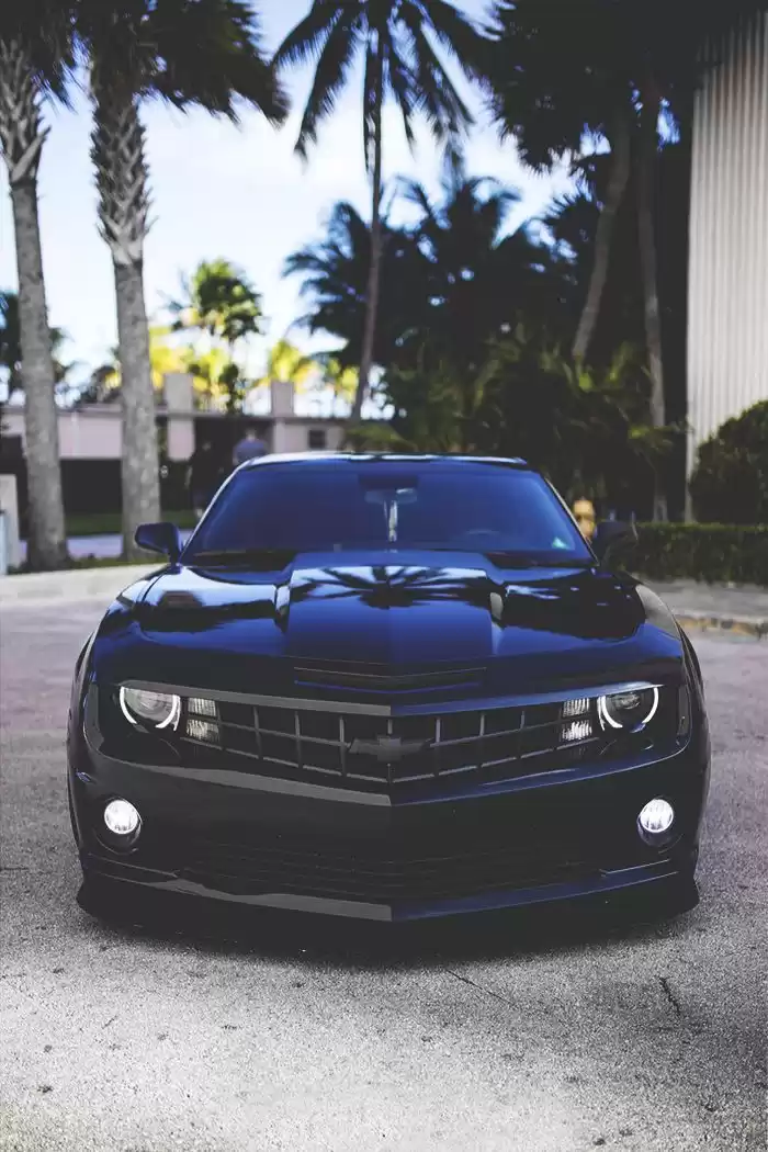 Brand New Chevrolet Suburban For Sale in Baghdad Governorate #29661 - 1  image 