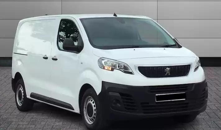 Used Peugeot Expert Tepee For Sale in Greater-London , England #30296 - 1  image 