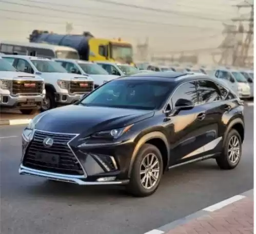 Gebraucht Lexus NX 300h Zu verkaufen in Dubai #31388 - 1  image 