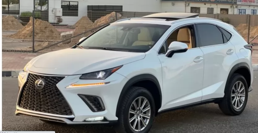 Used Lexus NX Unspecified For Sale in Dubai #31547 - 1  image 