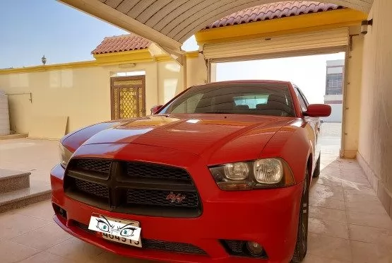Gebraucht Dodge Charger Zu verkaufen in Doha #7963 - 1  image 
