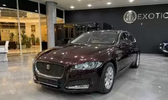 Used Jaguar XF For Sale in Doha #8286 - 1  image 