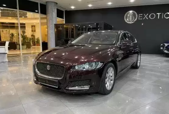 Utilisé Jaguar XF À vendre au Doha #9392 - 1  image 