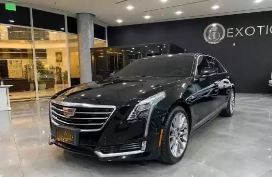 Used Cadillac CTS For Sale in Al Sadd , Doha #9652 - 1  image 