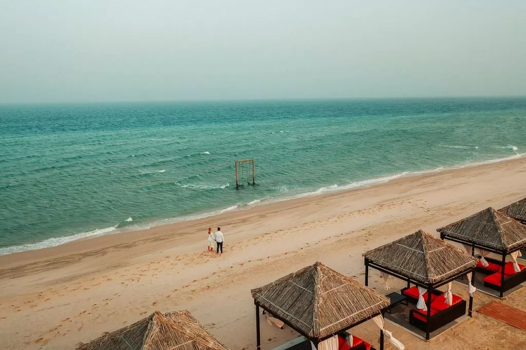 اخبار قطر المحلية أخبار  بيئي أخبار في دولة قطر  #1367 - 4  صورة 