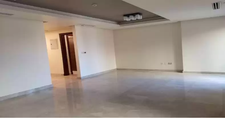 Wohn Klaar eigendom 2 Schlafzimmer S/F Wohnung  zu vermieten in Doha #11399 - 1  image 