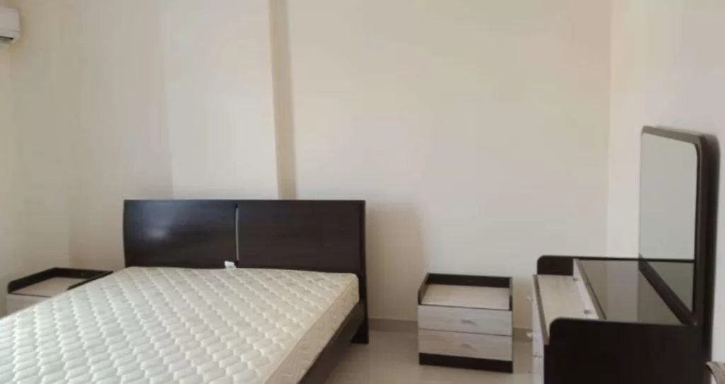 Residential Ready Property 2 Bedrooms F/F Apartment  for rent in Al-Mansoura-Street , Doha-Qatar #12663 - 7  image 