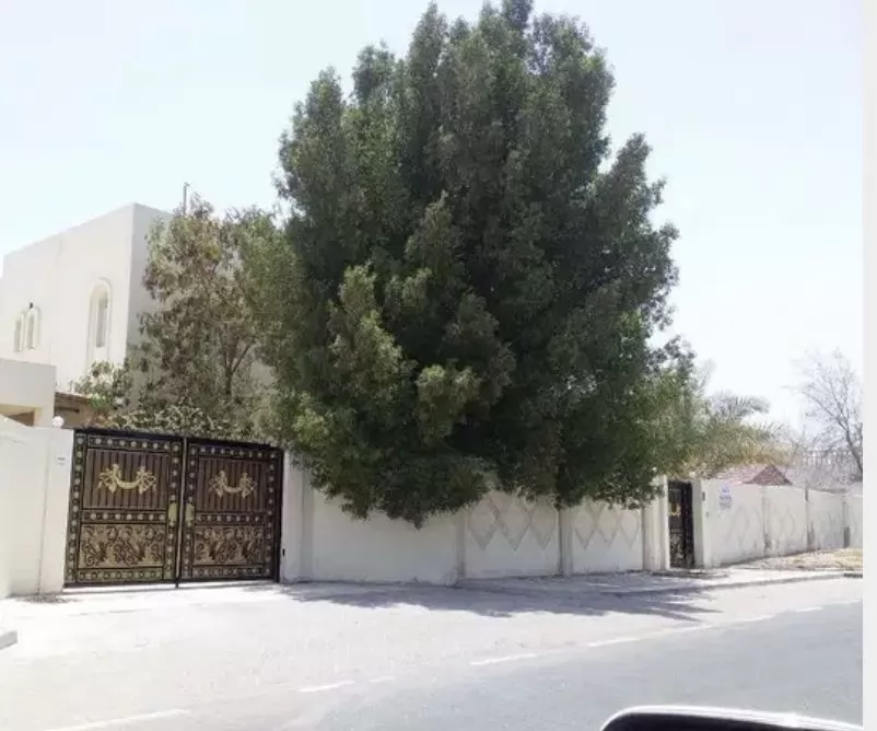 Жилой Готовая недвижимость 7+ спален Н/Ф Отдельная вилла  продается в Доха #13753 - 1  image 