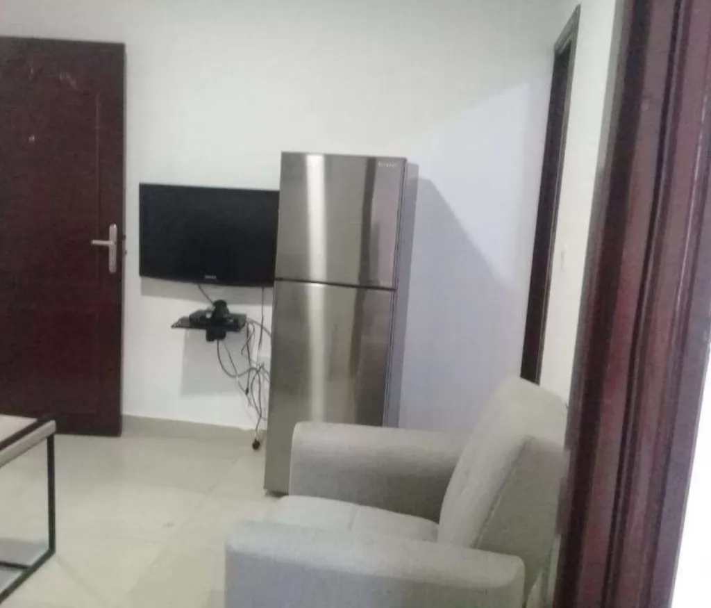 Residential Ready Property 1 Bedroom F/F Apartment  for rent in Doha-Qatar #13853 - 1  image 