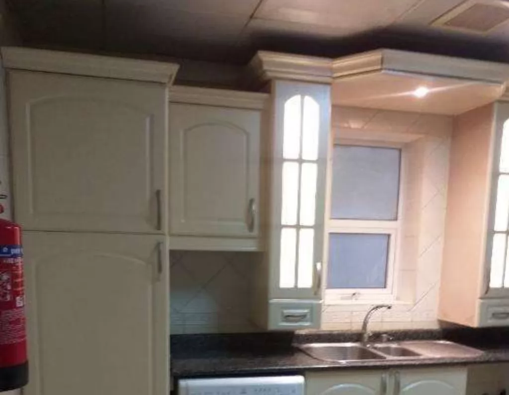 Residential Ready Property 2 Bedrooms F/F Apartment  for rent in Al-Mansoura-Street , Doha-Qatar #13883 - 1  image 
