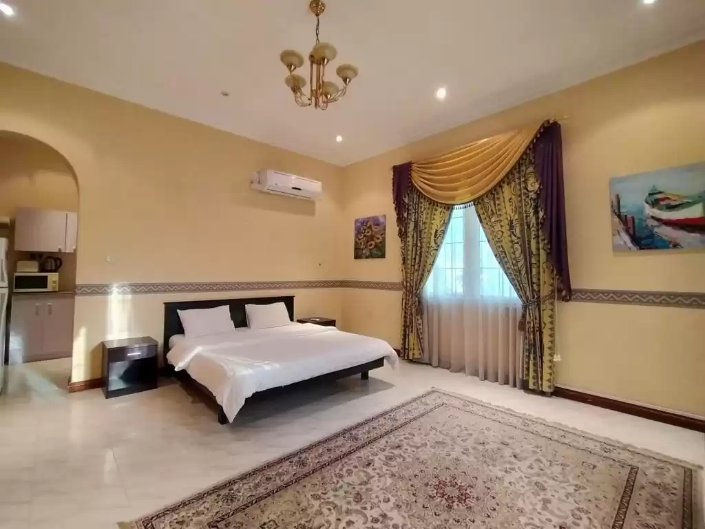 住宅 就绪物业 工作室 楼/楼 公寓  出租 在 萨德 , 多哈 #15509 - 1  image 