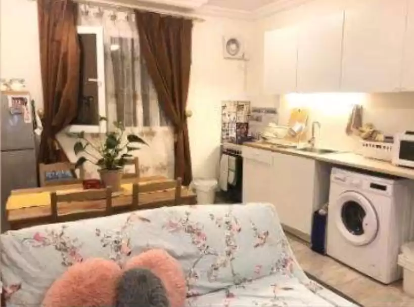 Résidentiel Propriété prête 1 chambre F / F Appartement  a louer au Doha #16299 - 1  image 