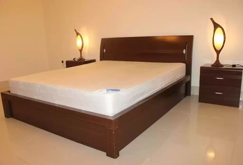 住宅 就绪物业 5+女仆卧室 顺丰 化合物  出租 在 萨德 , 多哈 #16496 - 1  image 