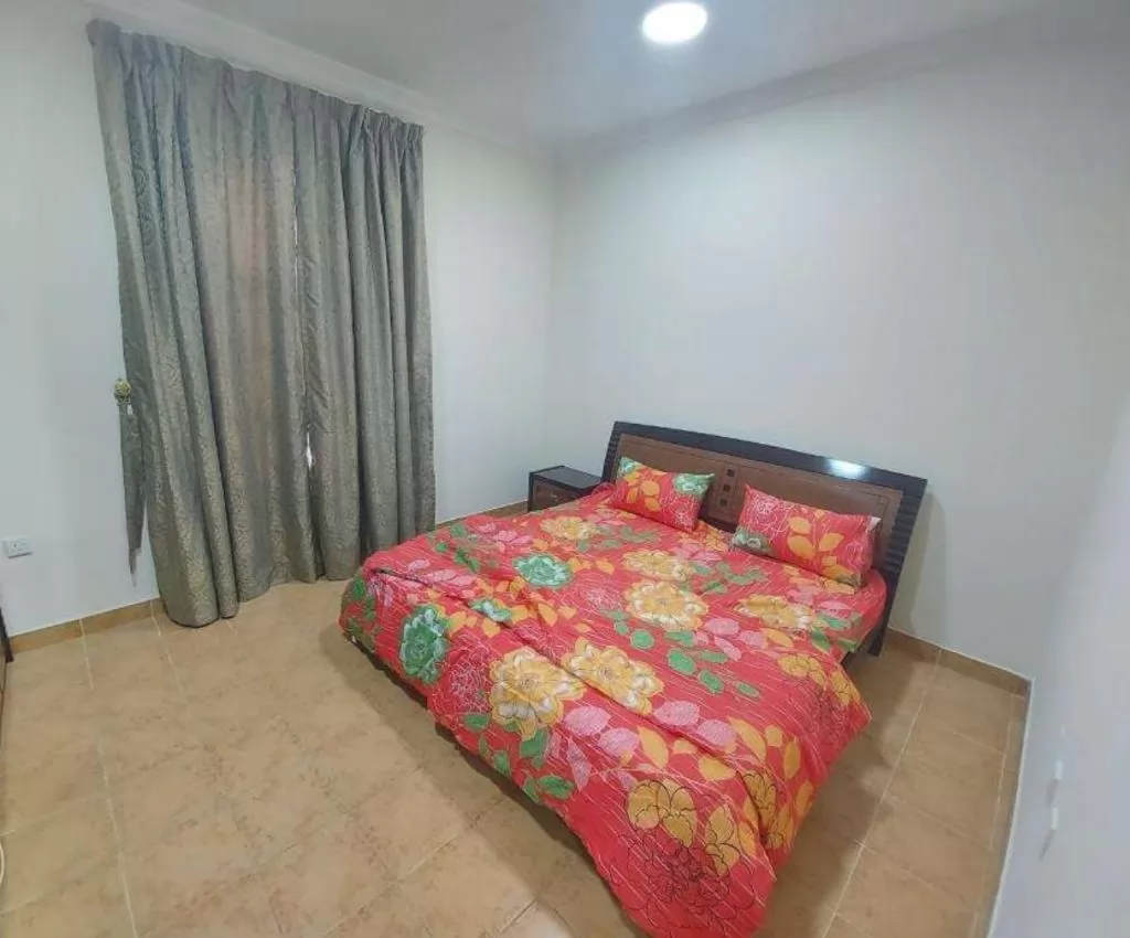 Residential Ready Property 2 Bedrooms F/F Apartment  for rent in Al Sadd , Doha #16569 - 3  image 