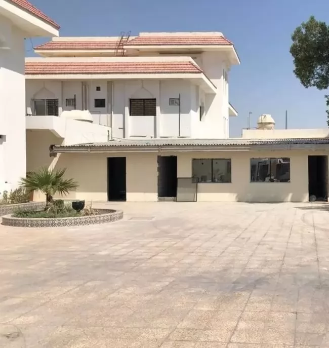 Жилой Готовая недвижимость 7+ спален Н/Ф Отдельная вилла  продается в Аль-Садд , Доха #16751 - 1  image 