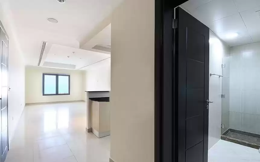 Résidentiel Propriété prête Studio F / F Penthouse  à vendre au Al-Sadd , Doha #17321 - 1  image 