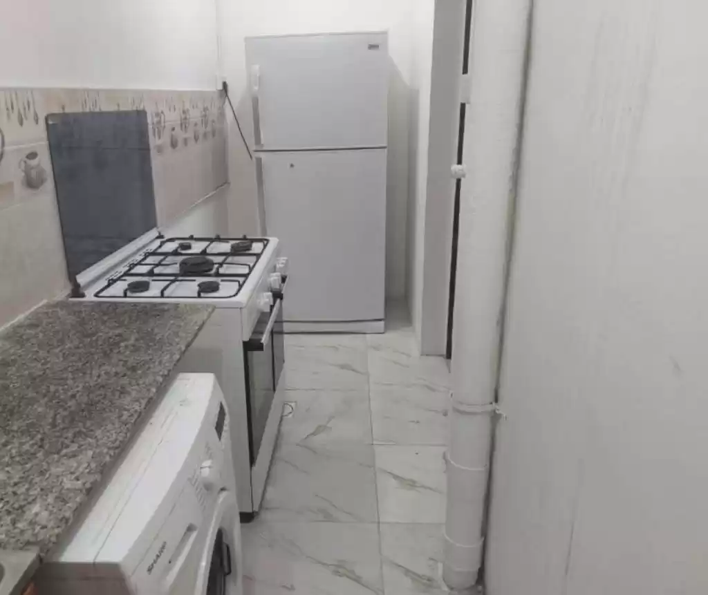 Residential Ready Property 1 Bedroom F/F Apartment  for rent in Al Sadd , Doha #17344 - 1  image 