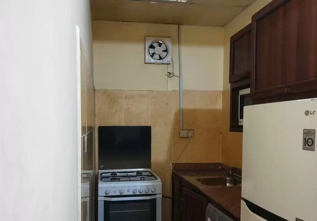 Residential Ready Property 1 Bedroom F/F Apartment  for rent in Al Sadd , Doha #17819 - 1  image 