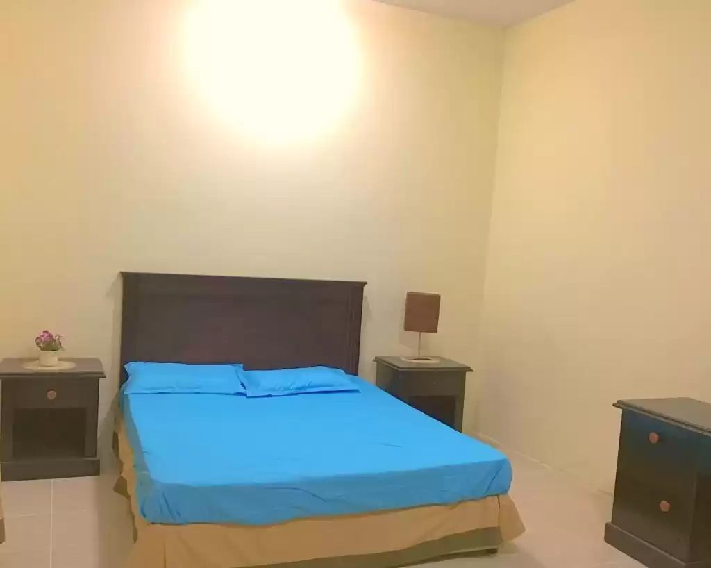 Residential Ready Property 2 Bedrooms F/F Apartment  for rent in Al Sadd , Doha #17820 - 1  image 