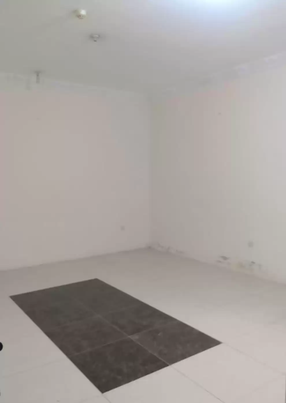 Residential Ready Property 2 Bedrooms U/F Apartment  for rent in Al Sadd , Doha #18030 - 1  image 