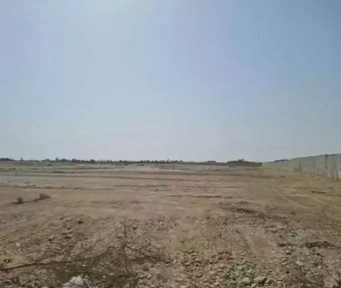 زمین املاک آماده زمین مسکونی  برای فروش که در السد , دوحه #18162 - 1  image 