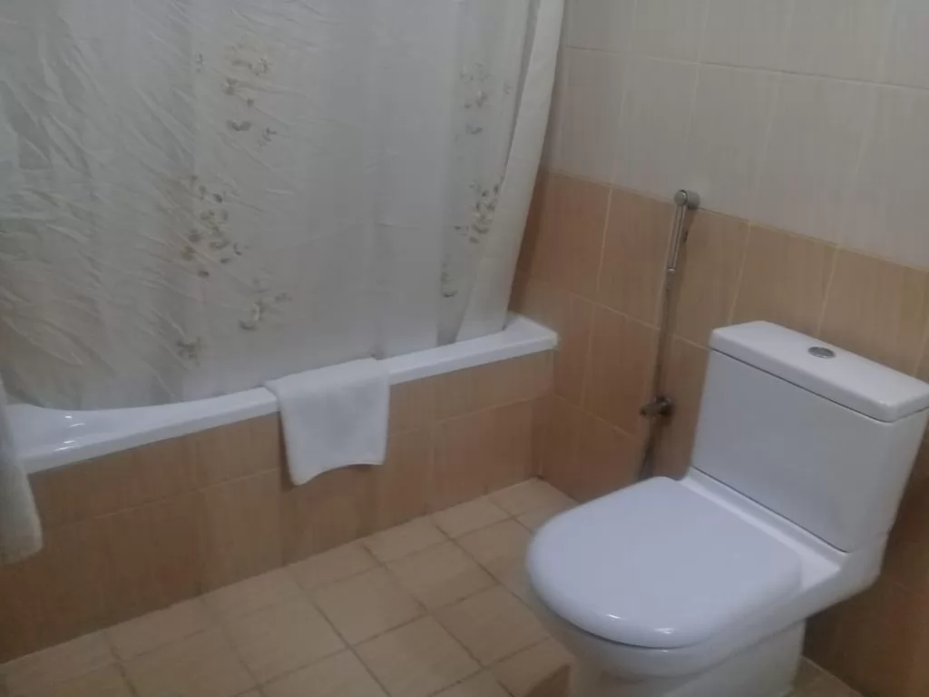 Residential Ready Property 1 Bedroom F/F Apartment  for rent in Al-Mansoura-Street , Doha-Qatar #18924 - 1  image 