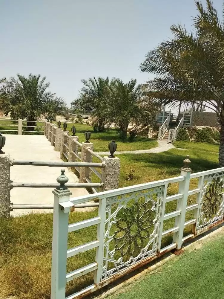 زمین املاک آماده زمین تجاری  برای فروش که در السد , دوحه #19025 - 1  image 